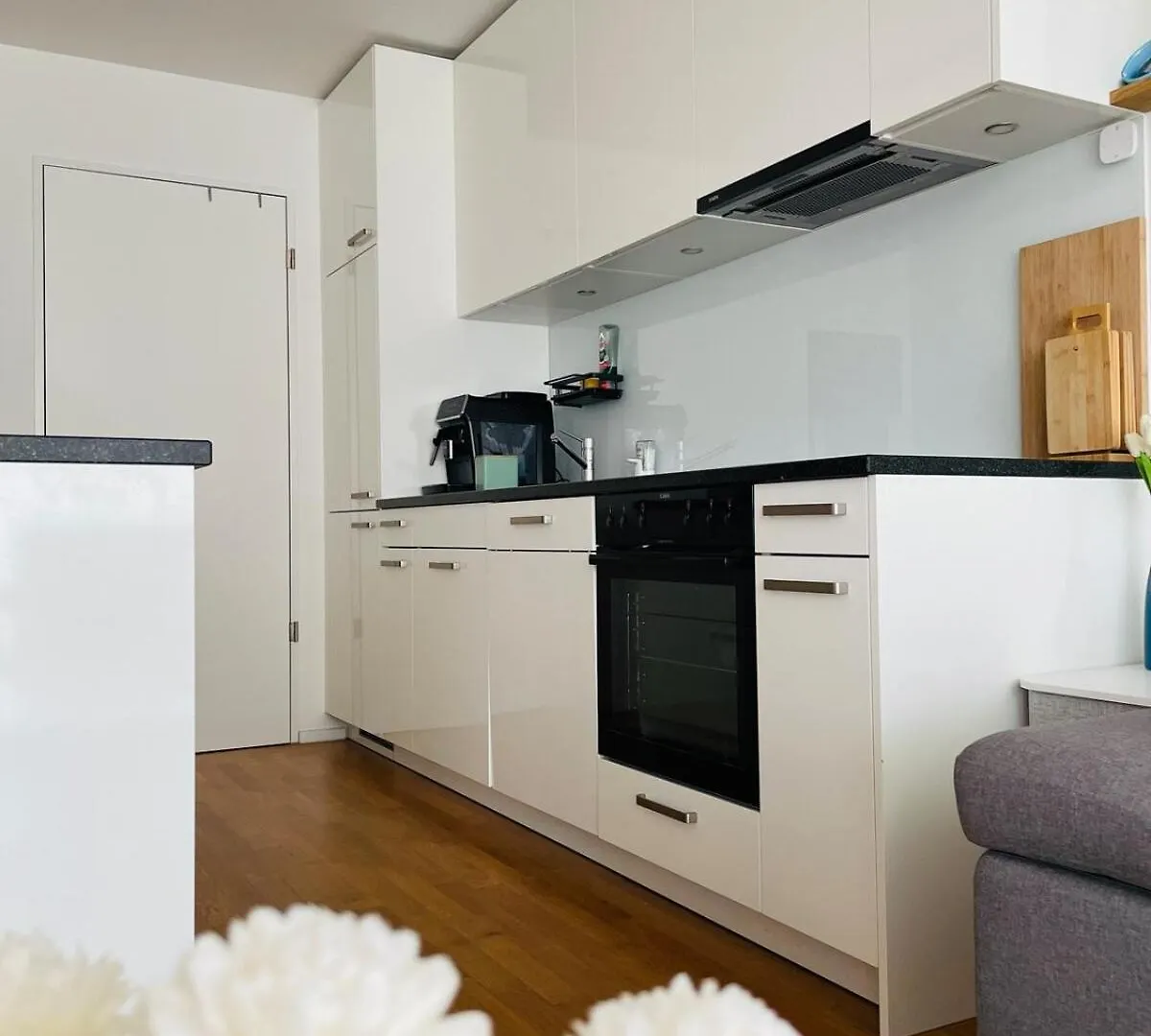 Spacious Apartment - Art Basel İsviçre